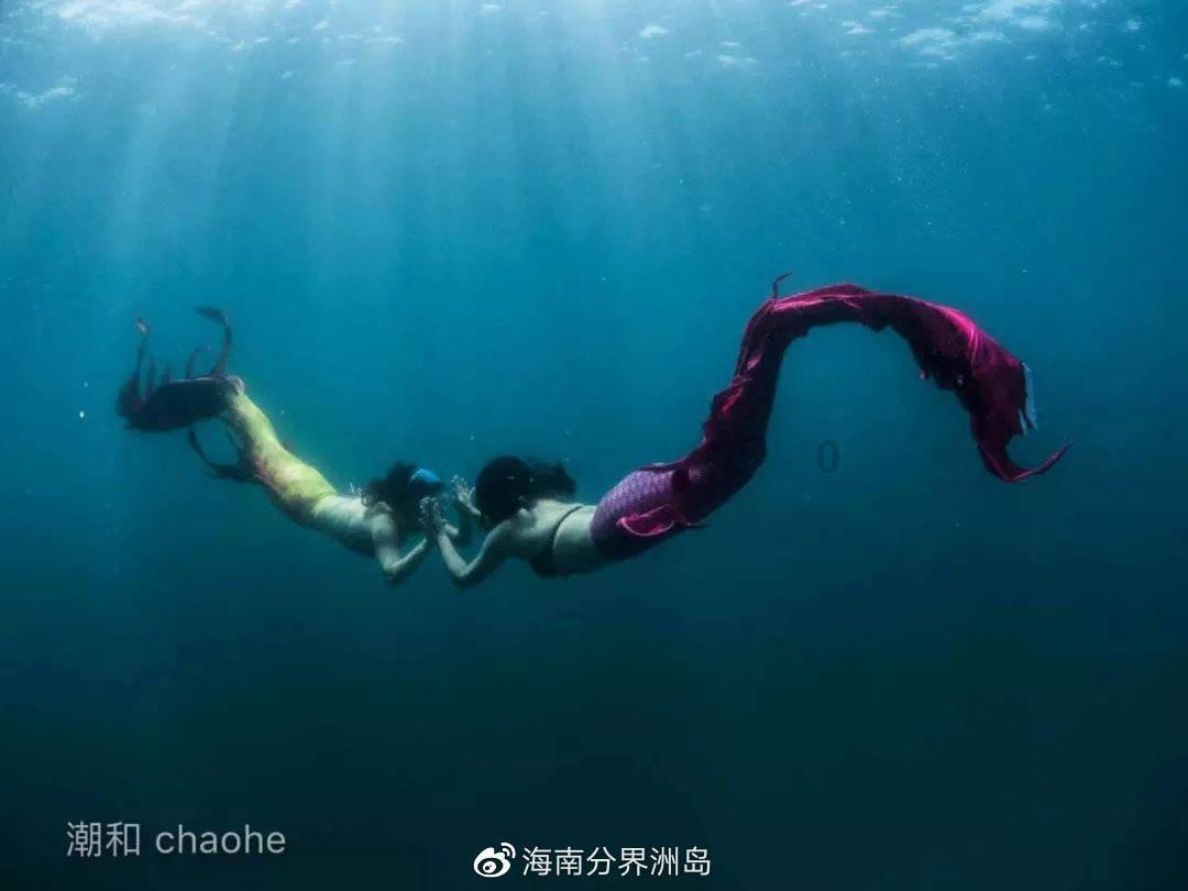 变异动物之战